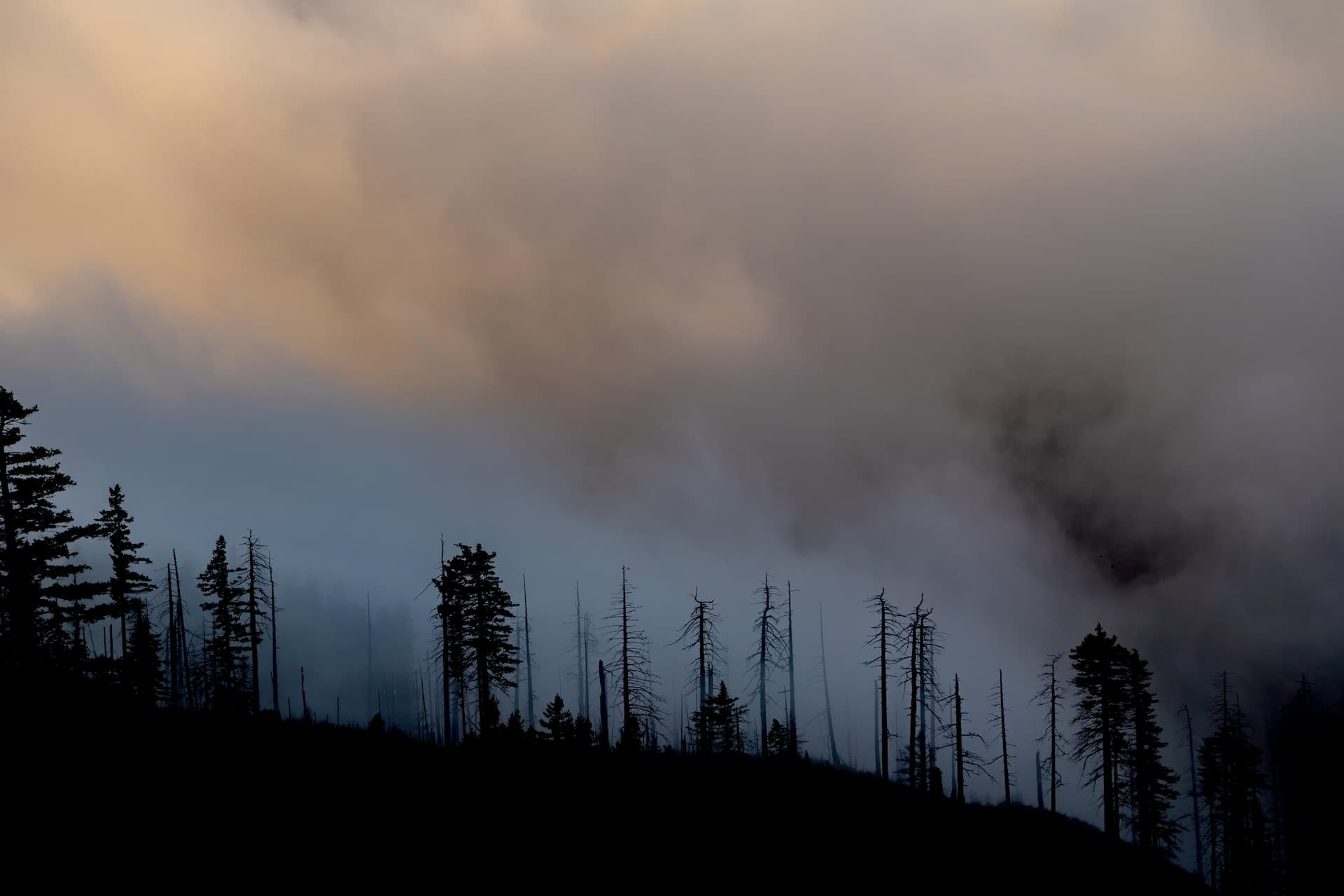 The sun casts an orange glow on smoke in the sky in the top left of the photo. Near the bottom right the smoke appears blackish. The silhouette of mostly bare trees is visible.