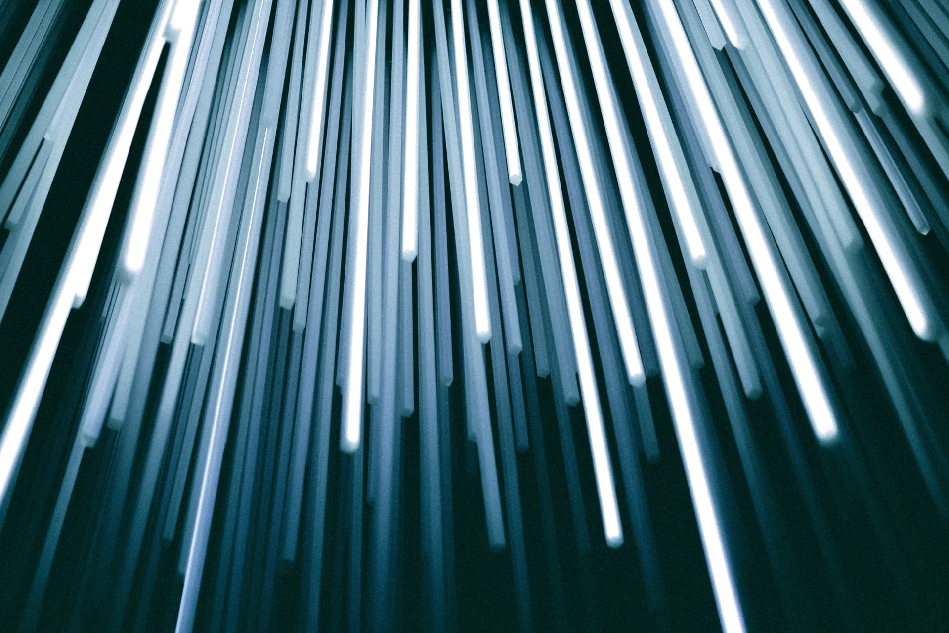 Thin columns of white light shoot from the top of the image to the bottom against a black background