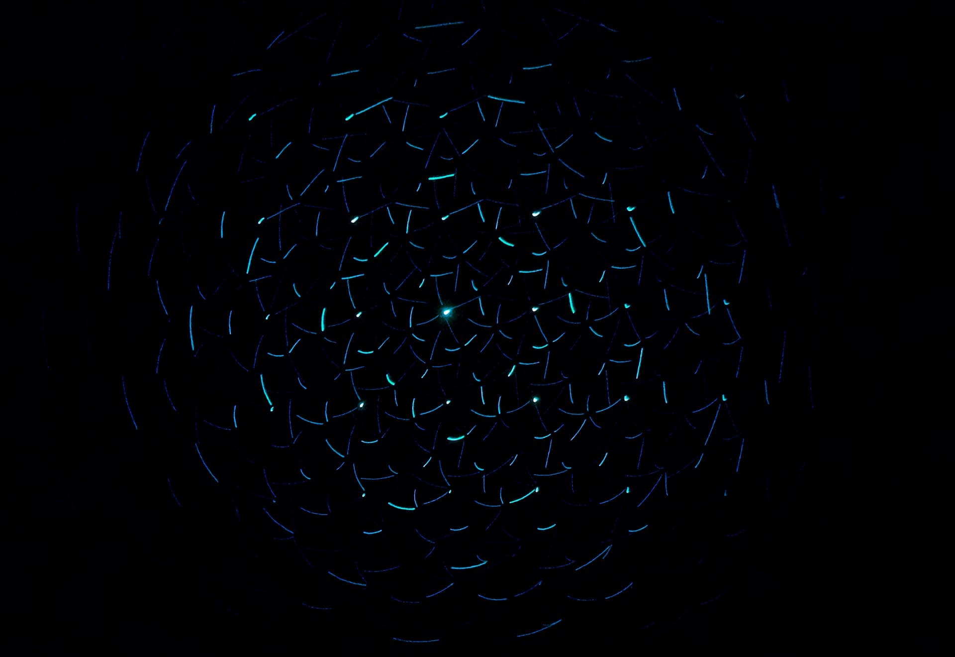 Against a black background, a point of light shines from the center of a sphere whose surface is formed by a repeating series of polygonal shapes