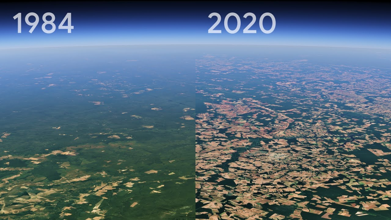 A screenshot from a timelapse video on Google Earth that shows how forests have been depleted from 1984 to 2020.
