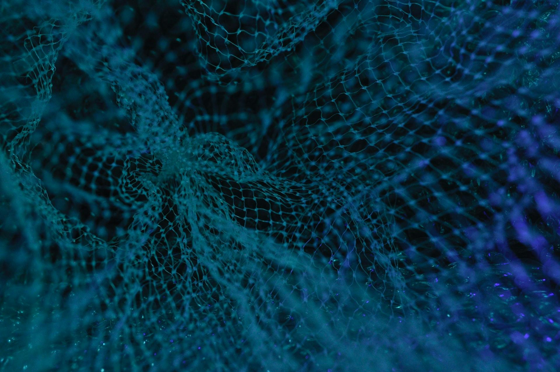 A mesh of blue plastic forming what looks like a 3D surface with a black background