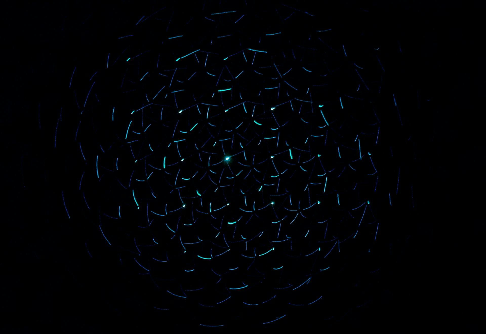 Against a black background, a point of light shines from the center of a sphere whose surface is formed by a repeating series of polygonal shapes